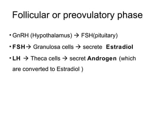 Follicular or preovulatory phase

• GnRH (Hypothalamus)  FSH(pituitary)
• FSH Granulosa cells  secrete Estradiol
• LH  Theca cells  secret Androgen (which
 are converted to Estradiol )
 