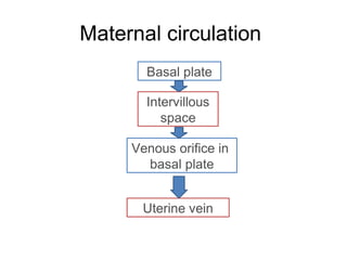 Maternal circulation
       Basal plate

       Intervillous
          space

     Venous orifice in
       basal plate


      Uterine vein
 