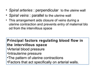 • Spiral arteries : perpendicular to the uteine wall
• Spiral veins : parallel to the uterine wall
• This arrangement aids closure of veins during a
  uterine contraction and prevents entry of maternal blo
  od from the intervillous space


Principal factors regulating blood flow in
the intervillous space
•Arterial blood pressure
•Intrauterine pressure
•The pattern of uterine contractions
•Factors that act specifically on arterial walls.
 