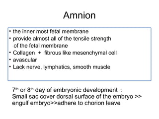 Amnion
• the inner most fetal membrane
• provide almost all of the tensile strength
  of the fetal membrane
• Collagen + fibrous like mesenchymal cell
• avascular
• Lack nerve, lymphatics, smooth muscle



 7th or 8th day of embryonic development :
 Small sac cover dorsal surface of the embryo >>
 engulf embryo>>adhere to chorion leave
 