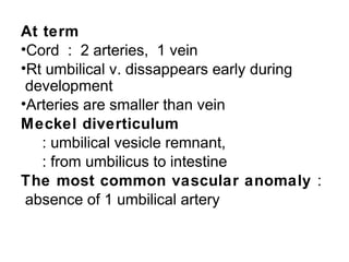 At term
•Cord : 2 arteries, 1 vein
•Rt umbilical v. dissappears early during
 development
•Arteries are smaller than vein
Meckel diverticulum
   : umbilical vesicle remnant,
   : from umbilicus to intestine
The most common vascular anomaly :
 absence of 1 umbilical artery
 