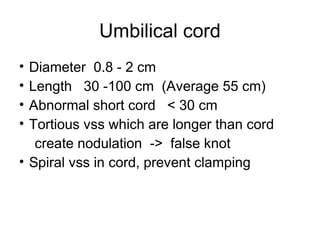 Umbilical cord
• Diameter 0.8 - 2 cm
• Length 30 -100 cm (Average 55 cm)
• Abnormal short cord < 30 cm
• Tortious vss which are longer than cord
   create nodulation -> false knot
• Spiral vss in cord, prevent clamping
 
