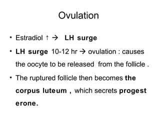 Ovulation

• Estradiol ↑  LH surge
• LH surge 10-12 hr  ovulation : causes
 the oocyte to be released from the follicle .
• The ruptured follicle then becomes the
 corpus luteum , which secrets progest
 erone.
 