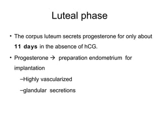 Luteal phase
• The corpus luteum secrets progesterone for only about
 11 days in the absence of hCG.
• Progesterone  preparation endometrium for
 implantation
    –Highly vascularized
    –glandular secretions
 