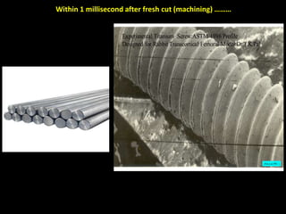[Pal et al,1992 ]
Experimental Titanium Screw:ASTM 1986 Profile
Designed for Rabbit Transcortical Femoral Model:Dr.T.K.Pal
Within 1 millisecond after fresh cut (machining) ………
 