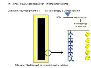 Newly formed
osteoblasts
Oxidation-reduction potential : Vascular Supply & Oxygen Tension
UDM Pre-osteoblast
Otherwise, Fibroblasts will be generated leading to failure
INTERFACE: BIOLOGIC CONSIDERATION—INITIAL HEALING PHASE
 