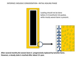 Loading should not be done
before 3-4 months(12-16 weeks),
while mostly woven bone is present.
After several months,the woven bone is progressively replaced by lamellar bone.
However, a steady state is reached after about 1½ year.
INTERFACE: BIOLOGIC CONSIDERATION—INITIAL HEALING PHASE
 