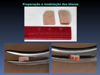 Preparação e modelação dos blocos
 