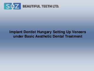 Implant Dentist Hungary Setting Up Veneers
under Basic Aesthetic Dental Treatment
 