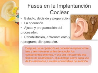 Fases en la Implantanción
Coclear
• Estudio, decisión y preparación.
• La operación.
• Ajuste y programación del
procesador.
• Rehabilitación, entrenamiento y
reprogramación posterior.
Después de la operación es necesario esperar entre
tres y seis semanas antes de acoplar los
componentes externos, y una vez transcurrido ese
tiempo de cicatrización, el audiólogo activa cada uno
de los electrodos a niveles confortables de audición.
 