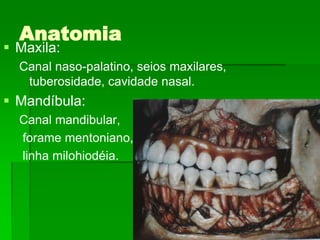 AnatomiaMaxila:Canal naso-palatino, seios maxilares, tuberosidade, cavidade nasal.Mandíbula:Canal mandibular, forame mentoniano, linha milohiodéia.