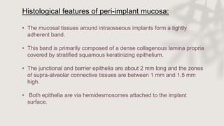 Histological features of peri-implant mucosa:
• The mucosal tissues around intraosseous implants form a tightly
adherent band.
• This band is primarily composed of a dense collagenous lamina propria
covered by stratified squamous keratinizing epithelium.
• The junctional and barrier epithelia are about 2 mm long and the zones
of supra-alveolar connective tissues are between 1 mm and 1.5 mm
high.
• Both epithelia are via hemidesmosomes attached to the implant
surface.
 