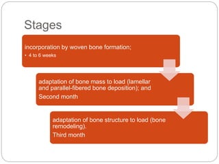 Stages
incorporation by woven bone formation;
• 4 to 6 weeks
adaptation of bone mass to load (lamellar
and parallel-fibered bone deposition); and
Second month
adaptation of bone structure to load (bone
remodeling).
Third month
 
