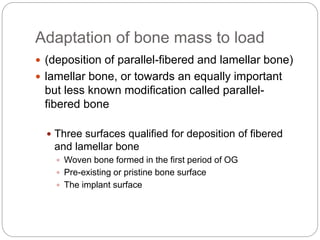 Adaptation of bone mass to load
 (deposition of parallel-fibered and lamellar bone)
 lamellar bone, or towards an equally important
but less known modification called parallel-
fibered bone
 Three surfaces qualified for deposition of fibered
and lamellar bone
 Woven bone formed in the first period of OG
 Pre-existing or pristine bone surface
 The implant surface
 
