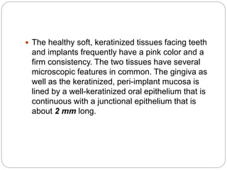  The healthy soft, keratinized tissues facing teeth
and implants frequently have a pink color and a
firm consistency. The two tissues have several
microscopic features in common. The gingiva as
well as the keratinized, peri-implant mucosa is
lined by a well-keratinized oral epithelium that is
continuous with a junctional epithelium that is
about 2 mm long.
 
