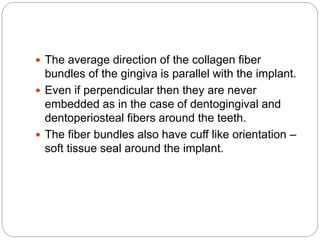  The average direction of the collagen fiber
bundles of the gingiva is parallel with the implant.
 Even if perpendicular then they are never
embedded as in the case of dentogingival and
dentoperiosteal fibers around the teeth.
 The fiber bundles also have cuff like orientation –
soft tissue seal around the implant.
 