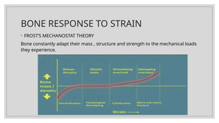 BONE RESPONSE TO STRAIN
◦ FROST’S MECHANOSTAT THEORY
Bone constantly adapt their mass , structure and strength to the mechanical loads
they experience.
 