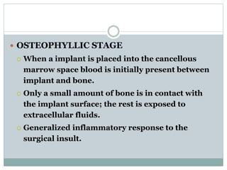  OSTEOPHYLLIC STAGE 
 When a implant is placed into the cancellous 
marrow space blood is initially present between 
implant and bone. 
 Only a small amount of bone is in contact with 
the implant surface; the rest is exposed to 
extracellular fluids. 
 Generalized inflammatory response to the 
surgical insult. 
 