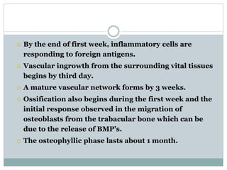  By the end of first week, inflammatory cells are 
responding to foreign antigens. 
 Vascular ingrowth from the surrounding vital tissues 
begins by third day. 
 A mature vascular network forms by 3 weeks. 
 Ossification also begins during the first week and the 
initial response observed in the migration of 
osteoblasts from the trabacular bone which can be 
due to the release of BMP’s. 
 The osteophyllic phase lasts about 1 month. 
 