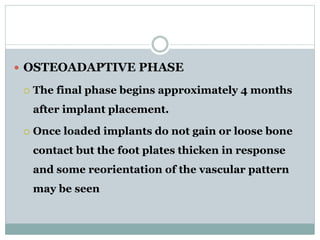  OSTEOADAPTIVE PHASE 
 The final phase begins approximately 4 months 
after implant placement. 
 Once loaded implants do not gain or loose bone 
contact but the foot plates thicken in response 
and some reorientation of the vascular pattern 
may be seen 
 