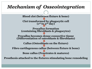 Mechanism of Osseointegration 
Blood clot (between fixture & bone) 
Clot transformed by phagocytic cell 
(1st to 3rd day) 
Procallus formation 
(containing fibroblasts & phagocytes) 
Procallus becomes dense connective tissue 
(Differentiation of osteoblasts & fibroblasts) 
Callus (Osteoblasts on the fixture) 
Fibro cartilagenous callus (between fixture & bone) 
Bone callus (Penetrates & matures) 
Prosthesis attached to the fixtures stimulating bone remodeling 
 