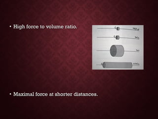• High force to volume ratio.High force to volume ratio.
• Maximal force at shorter distances.Maximal force at shorter distances.
 