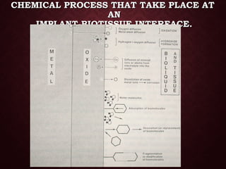 CHEMICAL PROCESS THAT TAKE PLACE ATCHEMICAL PROCESS THAT TAKE PLACE AT
ANAN
IMPLANT-BIOTISSUE INTERFACE.IMPLANT-BIOTISSUE INTERFACE.
 