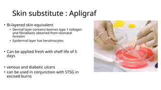 Comprehensive Overview of Implants and Biomaterials in Plastic Surgery ...