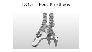 DOG – Foot Prosthesis
 