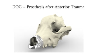 DOG – Prosthesis after Anterior Trauma
 