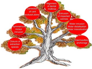 Intermaxillary
anchorage
Molar intrusion
Molar distalisation
Molar mesialisation
Extrusion
of impacted
canines
Alignment
of dental
midlinesCorrection
of cant
occlusal plane
Symmetrical
incisor
intrusion
Closure of
extraction
spaces
 