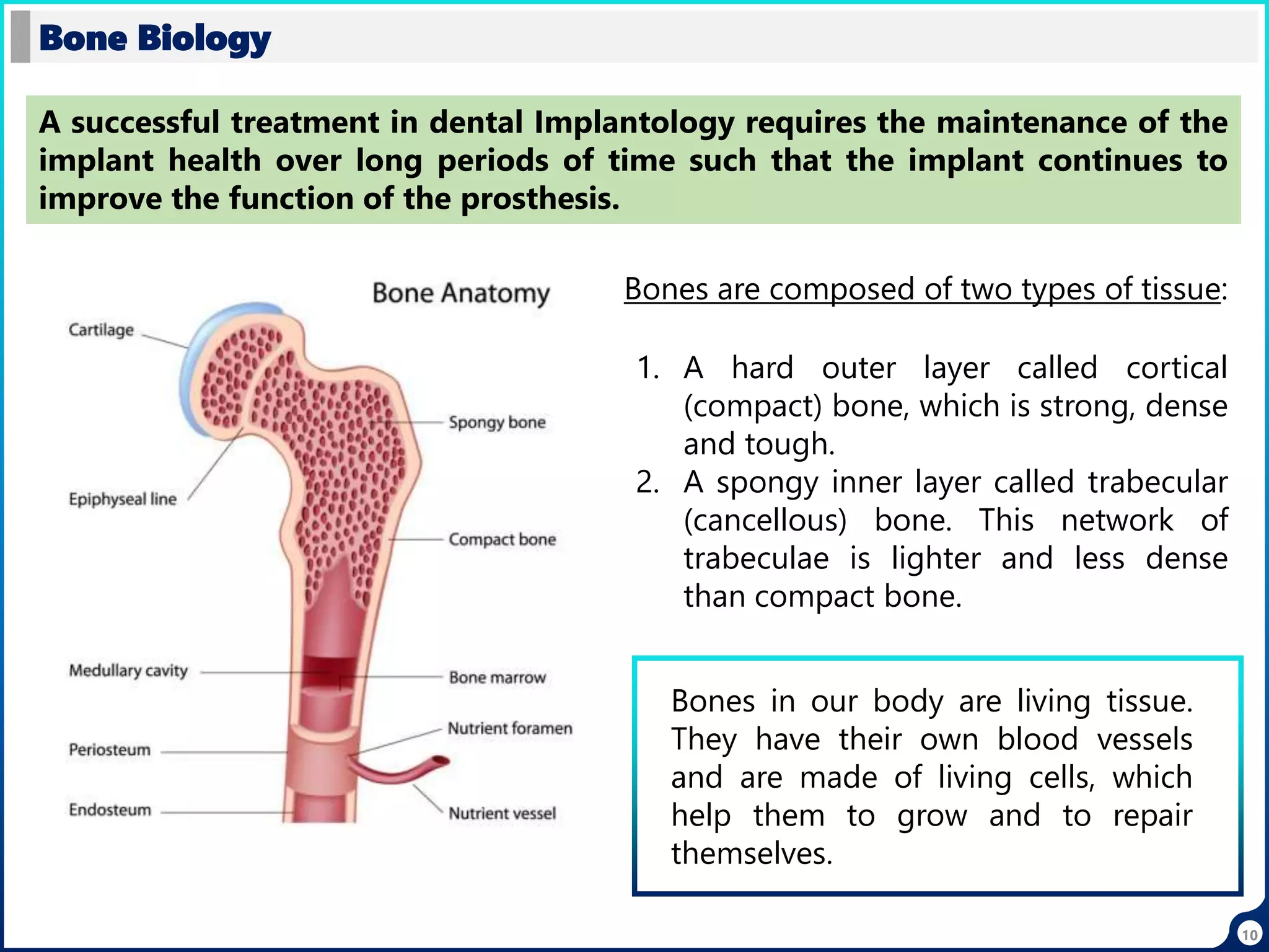 10
Bone Biology
A successful treatment in dental Implantology requires the maintenance of the
implant health over long periods of time such that the implant continues to
improve the function of the prosthesis.
Bones in our body are living tissue.
They have their own blood vessels
and are made of living cells, which
help them to grow and to repair
themselves.
Bones are composed of two types of tissue:
1. A hard outer layer called cortical
(compact) bone, which is strong, dense
and tough.
2. A spongy inner layer called trabecular
(cancellous) bone. This network of
trabeculae is lighter and less dense
than compact bone.
 