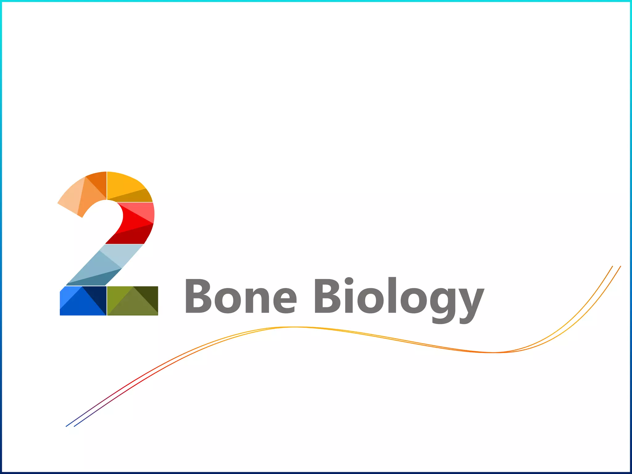 Bone Biology
 