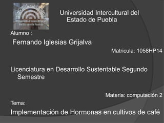 Alumno :
Fernando Iglesias Grijalva
Matricula: 1058HP14
Licenciatura en Desarrollo Sustentable Segundo
Semestre
Materia: computación 2
Tema:
Implementación de Hormonas en cultivos de café
Universidad Intercultural del
Estado de Puebla
 