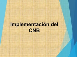 Implementación del
CNB
 