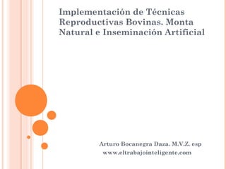 Implementación de Técnicas
Reproductivas Bovinas. Monta
Natural e Inseminación Artificial




         Arturo Bocanegra Daza. M.V.Z. esp
          www.eltrabajointeligente.com
 