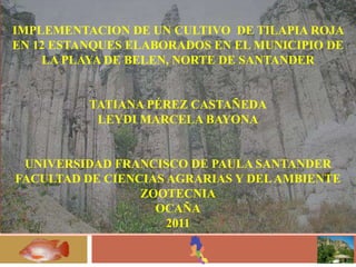 IMPLEMENTACION DE UN CULTIVO DE TILAPIA ROJA
EN 12 ESTANQUES ELABORADOS EN EL MUNICIPIO DE
    LA PLAYA DE BELEN, NORTE DE SANTANDER


          TATIANA PÉREZ CASTAÑEDA
           LEYDI MARCELA BAYONA


 UNIVERSIDAD FRANCISCO DE PAULA SANTANDER
FACULTAD DE CIENCIAS AGRARIAS Y DEL AMBIENTE
                 ZOOTECNIA
                   OCAÑA
                     2011
 