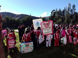 Implementando el curriculo nacional