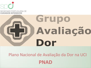 Plano Nacional de Avaliação da Dor na UCI
               PNAD
 
