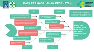 Prb Method materi Implementasi PRB di Puskesmas.pdf