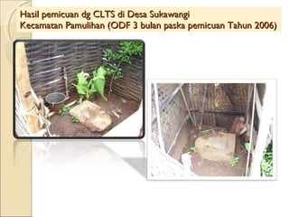 Hasil pemicuan dg CLTS di Desa Sukawangi  Kecamatan Pamulihan (ODF 3 bulan paska pemicuan Tahun 2006) 