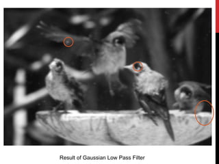 Implementation and comparison of Low pass filters in Frequency domain ...