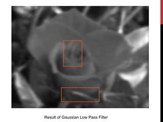Implementation and comparison of Low pass filters in Frequency domain ...