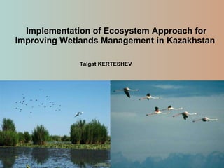 Implementation of Ecosystem Approach for Improving Wetlands Management in Kazakhstan  Talgat KERTESHEV 