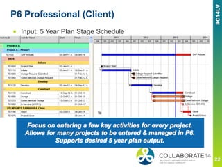 P6 Professional (Client)
■  Input: 5 Year Plan Stage Schedule
 