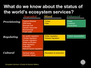 Implementing Ecosystem Services in Public Decision Making | PPT
