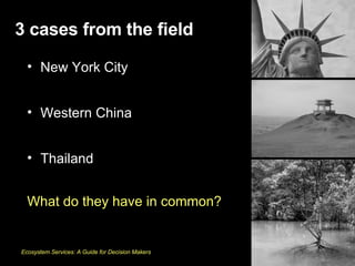 <ul><li>New York City </li></ul><ul><li>Western China </li></ul><ul><li>Thailand </li></ul><ul><li>What do they have in co...