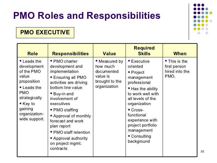 Pmo Roles And Responsibilities Matrix