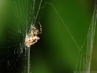 "Blowing Up" Social Networks by Going Open