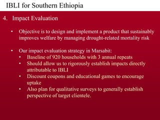 Implementing IBLI in Northern Kenya and investigating feasibility in Southern Ethiopia